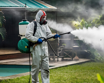 Professional pest control treatment in progress